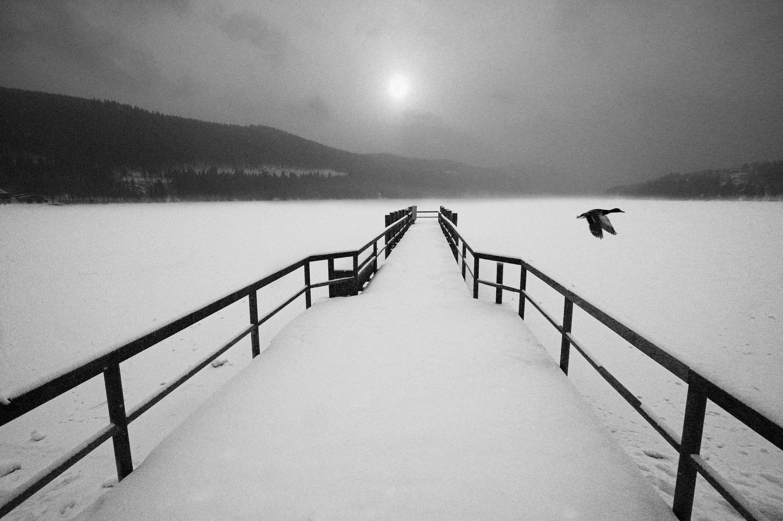 Le contraste : pour le meilleur ou le pire ? - Volker Gilbert Photographie