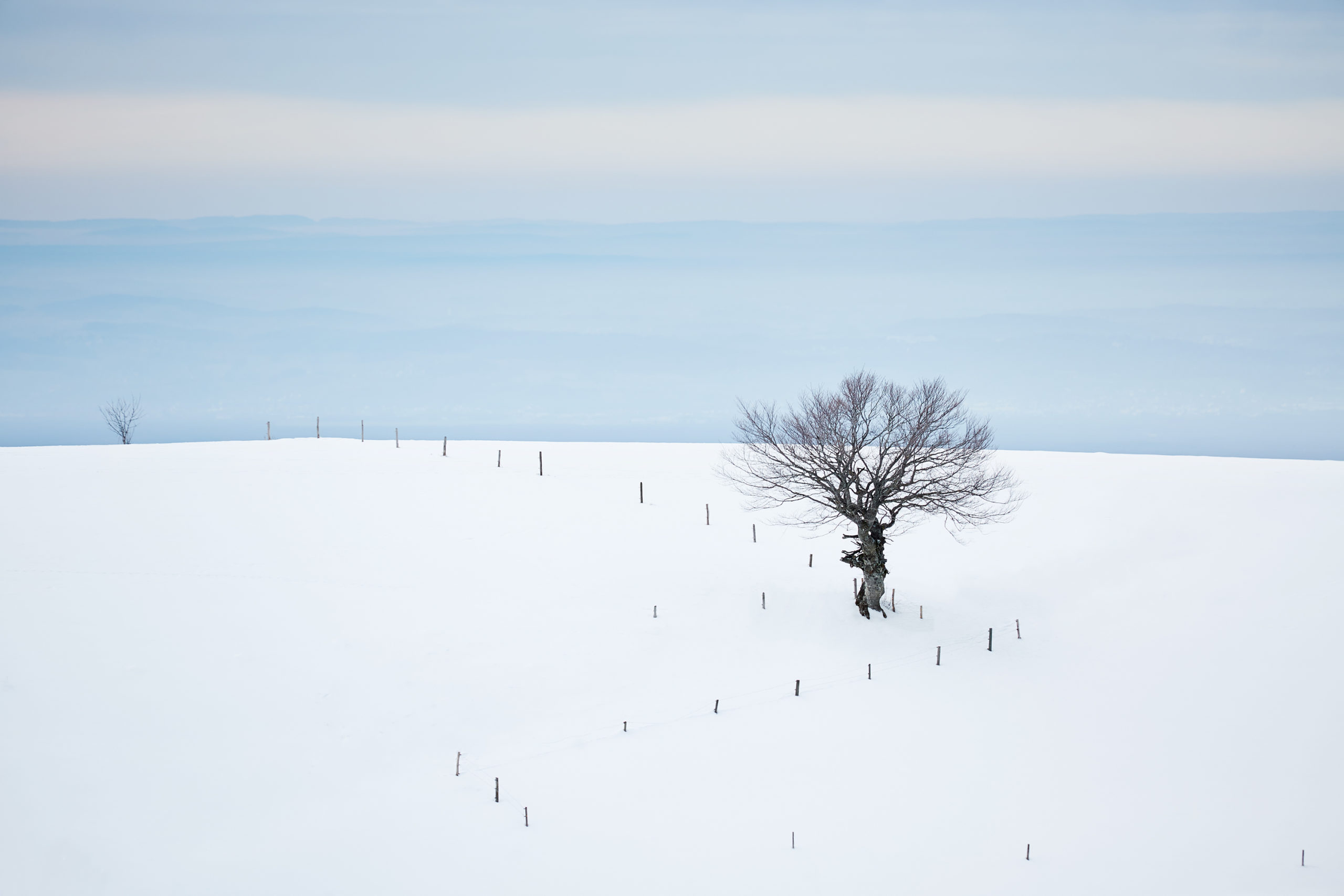 high-key-et-low-key-l-exposition-hors-norme-volker-gilbert-photographie